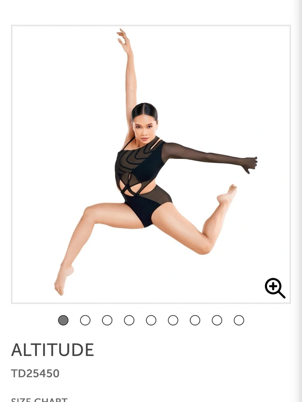 Altitude Black Long-Sleeve Mesh Dance Top